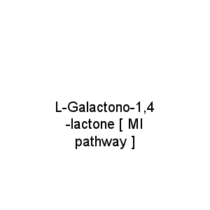 L-Galactono-1,4-lactone [ MI pathway ]